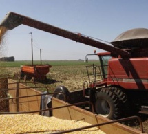 perturbation des approvisionnements alimentaires résultant de la guerre russie-ukraine : la banque africaine de développement fait dans la prévention d'une crise alimentaire
