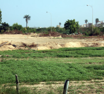 sénégal : 29000 hectares de terre restaurés dans la zone des niayes et dans le cadre de la grande muraille verte