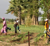 entrepreneuriat féminin au sénégal : les défis de l’école de la dirigeante