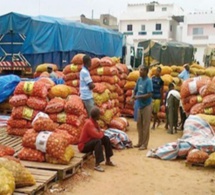 sénégal : la reprise économique fortement perturbée par la flambée des prix mondiaux du carburant et des denrées alimentaires et le gel des échanges avec le mali