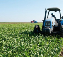 financement des campagnes de production agricole 2022 au sénégal : des concours bancaires d'un montant de plus de 40 milliards fcfa mis en place par la banque agricole et la bnde