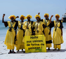 sénégal : un rapport de la fao décrie la gouvernance et la gestion des pêches 