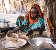 les services du fmi notent un bond de 24 pour cent en moyenne en 2020-22 des prix des denrées alimentaires de base en afrique subsaharienne