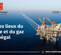 hydrocarbures, sénégal : le cos-petrogaz invité à faire l'état des lieux des projets pétroliers et gaziers et leurs impacts