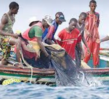 Attribution de licences de pêche au Sénégal : le gouvernement prend une décision salutaire