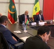 gaz sénégalo-mauritanien : expliquer l'impact global du retard dans l'exécution du projet et des augmentations de coûts annoncées