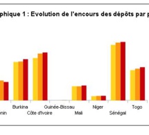 microfinance dans l'umoa : le point au premier trimestre de l'année 2024