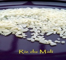 MALI: réflexion sur l'économie du riz