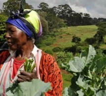 AgriPME : le numérique au service des agriculteurs du Togo