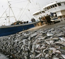 Entrée en vigueur du premier traité mondial contre la pêche illégale