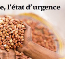 Au sommaire des pages éco cette semaine : une enquête inédite sur l’arachide au Sénégal