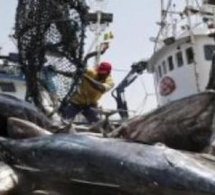  Lutte contre la pêche illicite : la presse en renfort